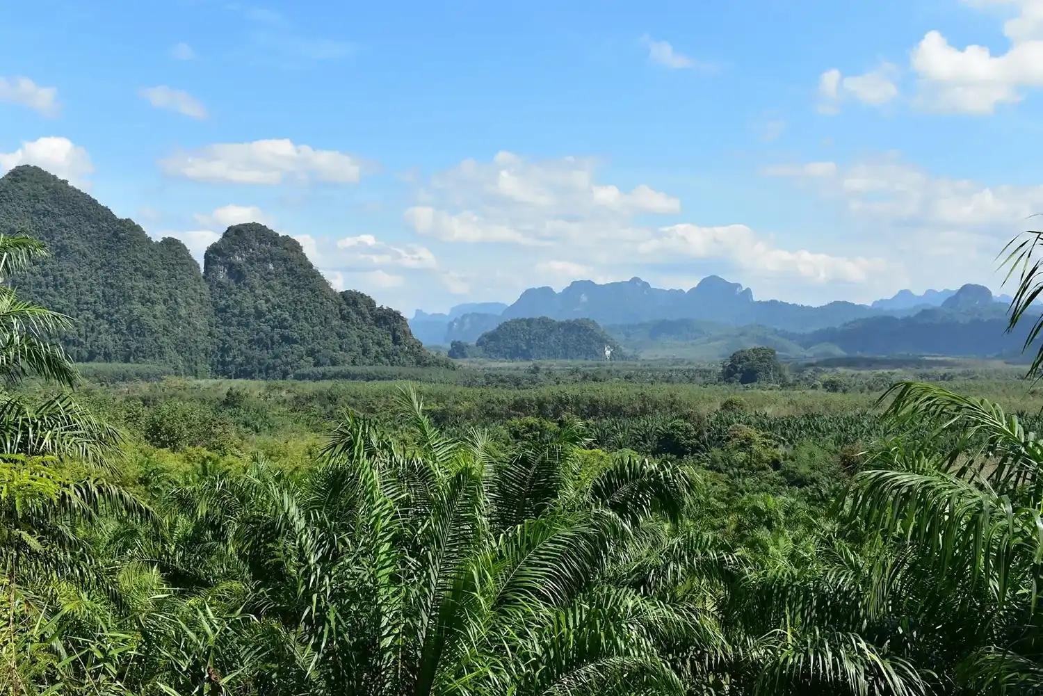 Foresta tropicale e montagne del Parco Nazionale di Khao Sok, Thailandia, tra le aree naturali da considerare nella pianificazione sanitaria del viaggio.