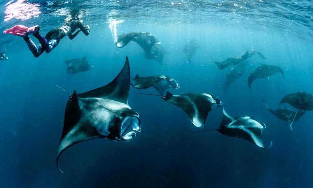 Qué islas visitar en Maldivas