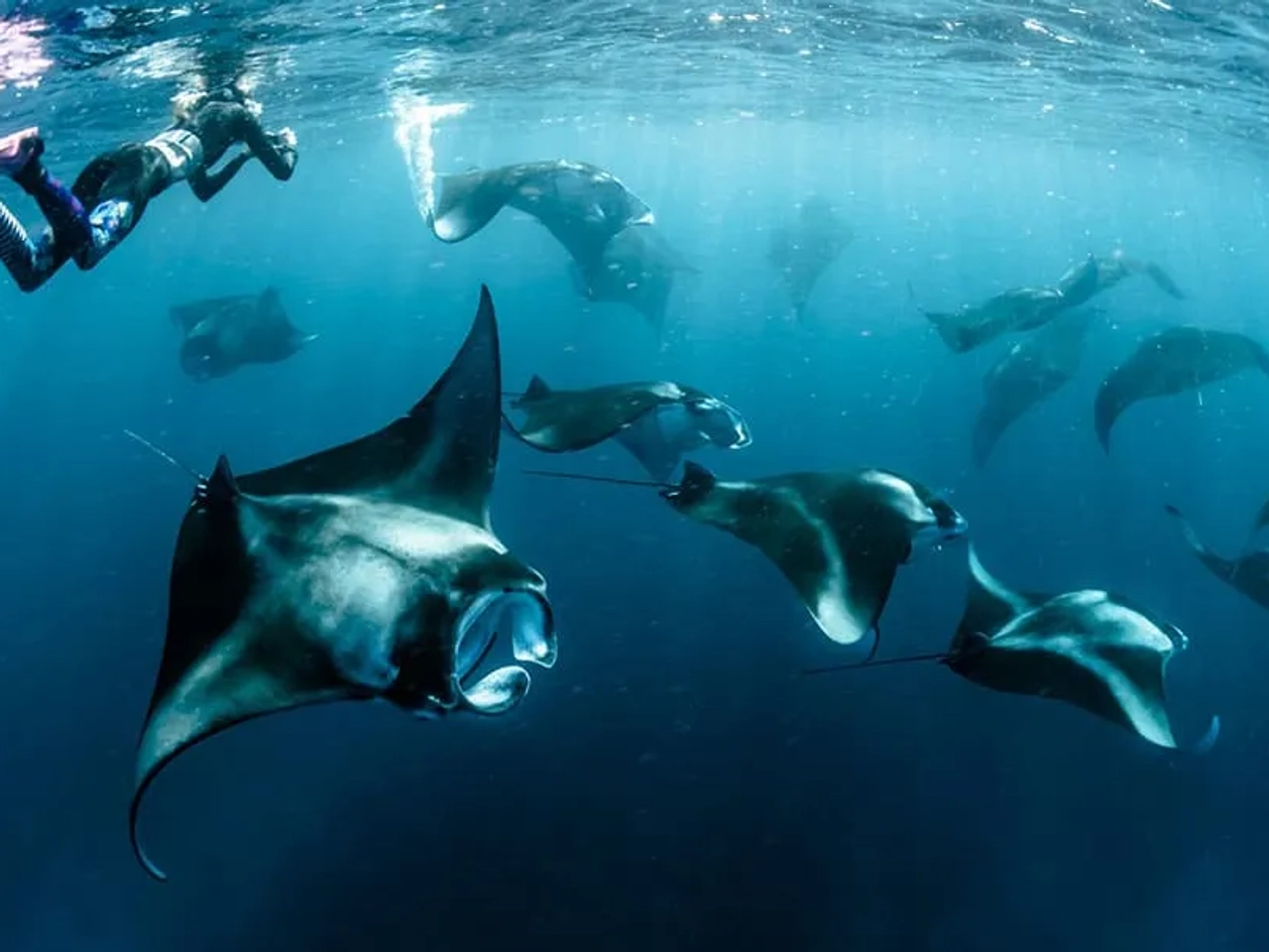 Qué islas visitar en Maldivas