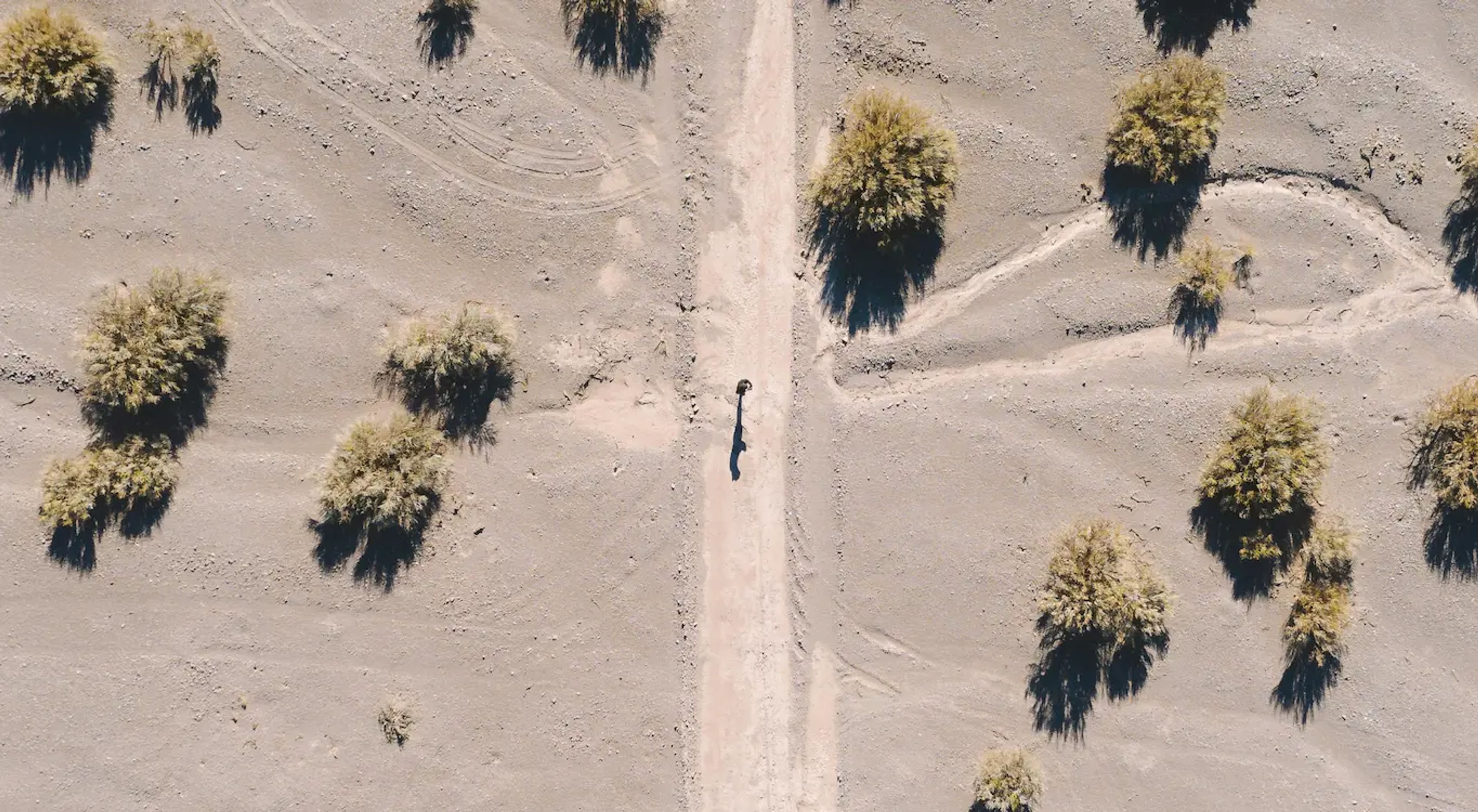 Vista desde arriba de un desierto con un camino que lo cruza