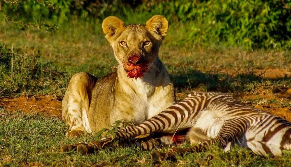 seguro de viaje a Kenia