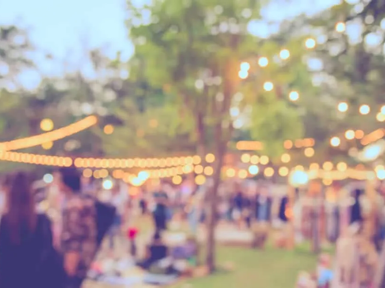 imagem desfocada de um festival de verao no jardim com arvores e luzes
