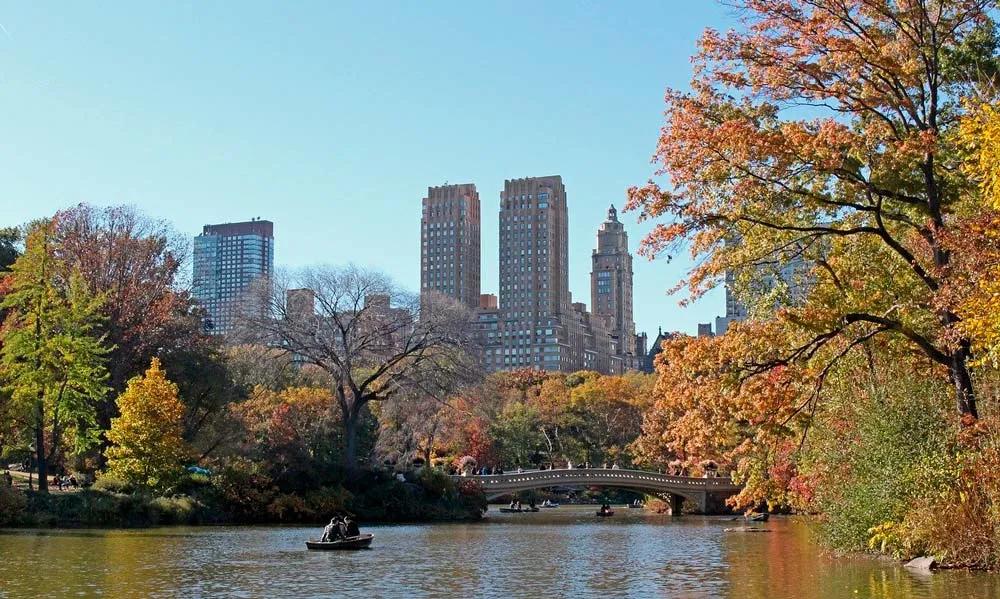 Qué hacer en Nueva York, pasear por Central Park