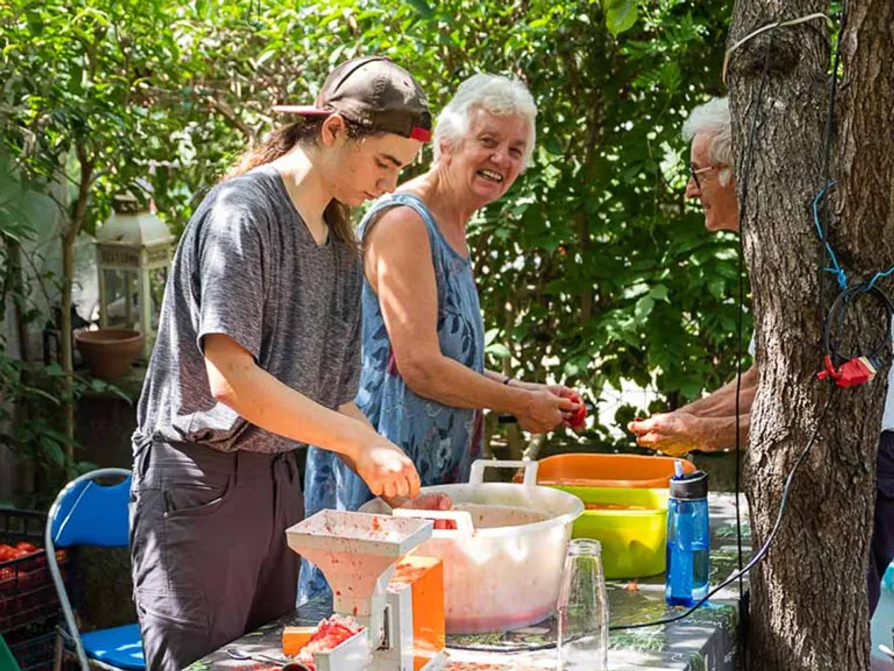 Workaway Trabalhar em Voluntariado