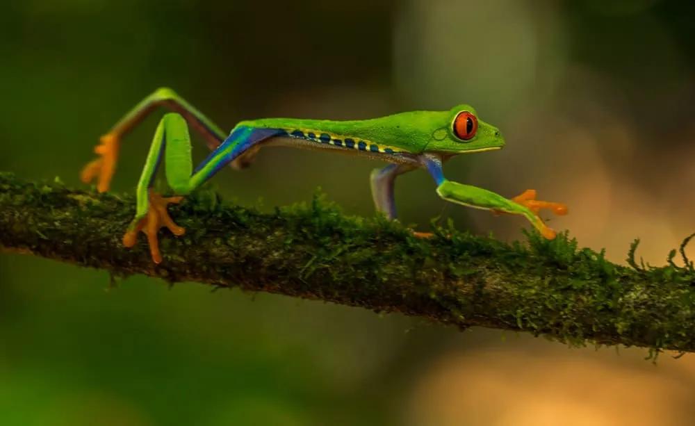 consejos para viajar a Costa Rica