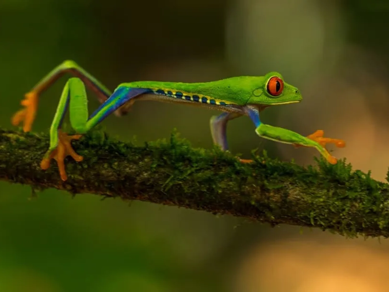 consejos para viajar a Costa Rica