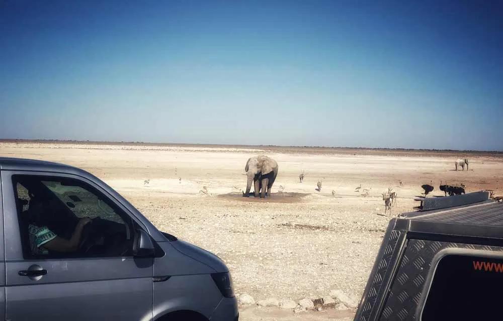 Consejos para viajar a Namibia