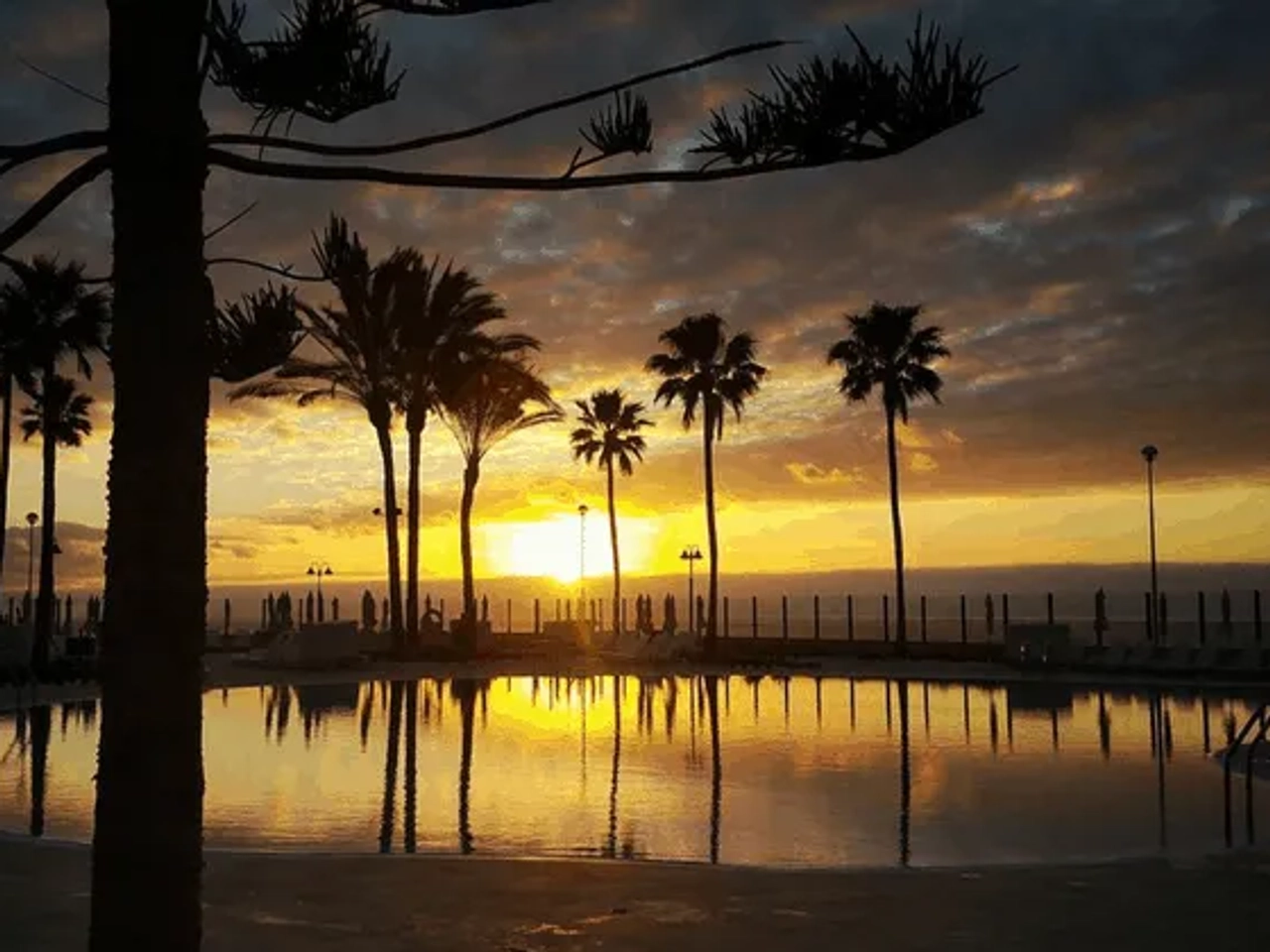 Atardecer sobre una piscina rodeada de palmeras y un paisaje costero.