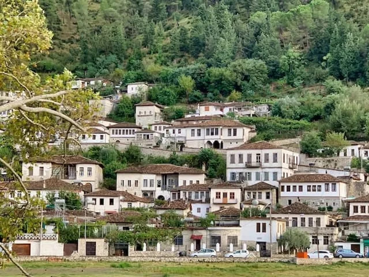 casas tipicas na albania numa montanha verde