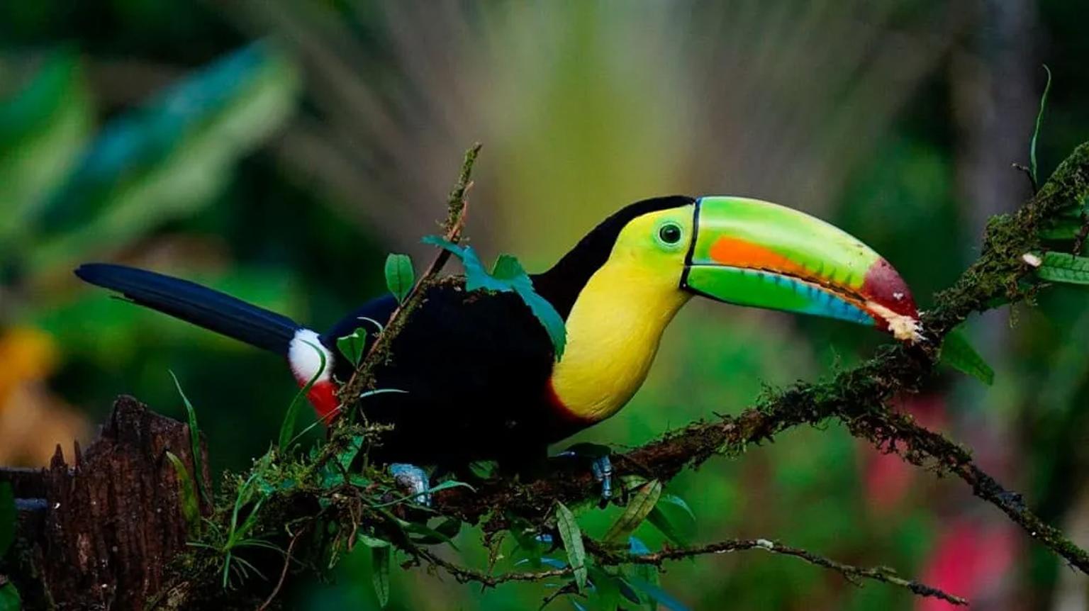 Documentos para viaje a Costa Rica
