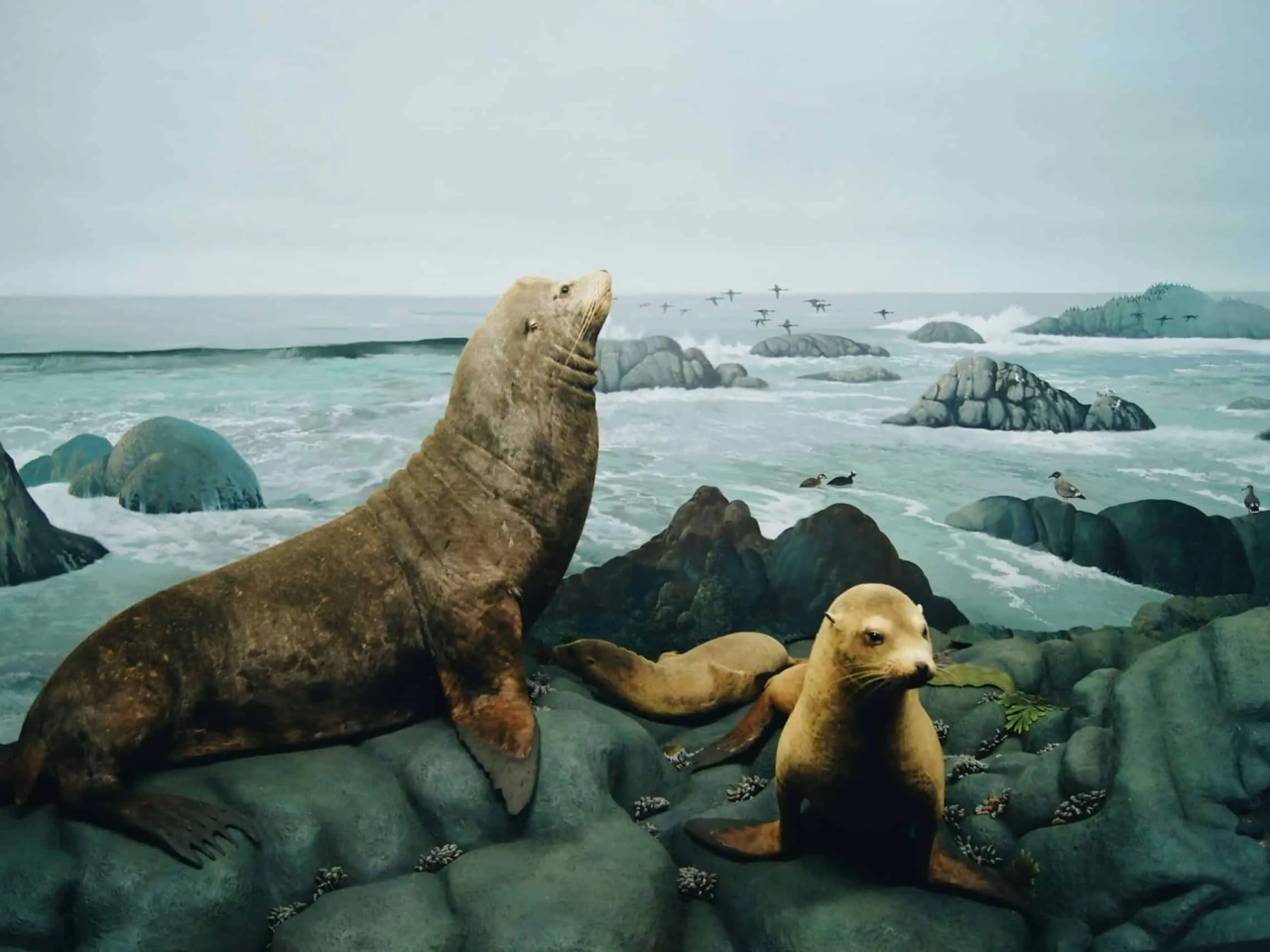 excursiones para hacer en Lima