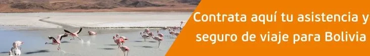 asistencia y seguro de viaje Bolivia