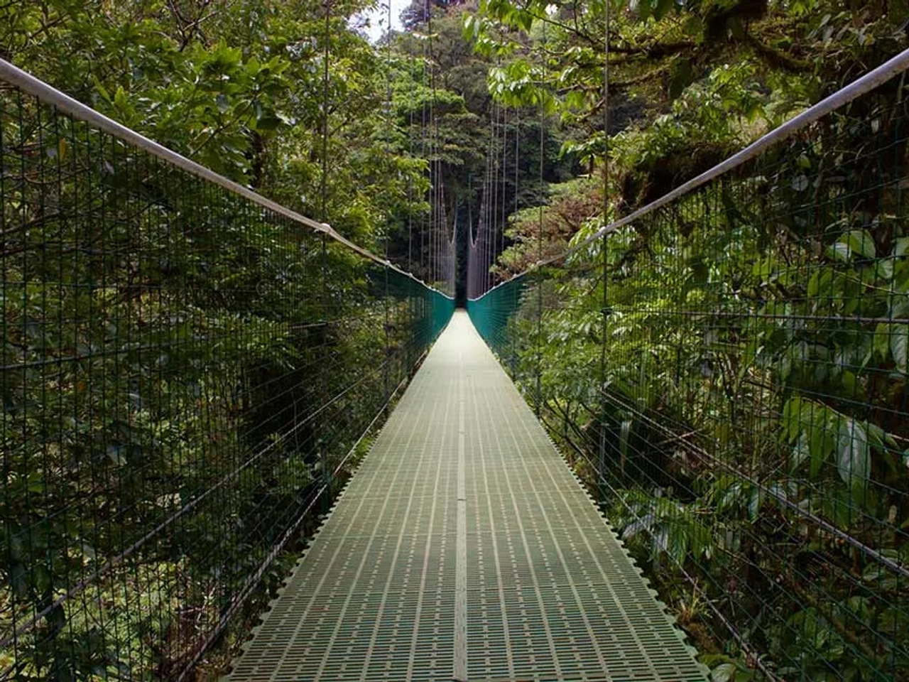 ponte suspensa de arenal na costa rica
