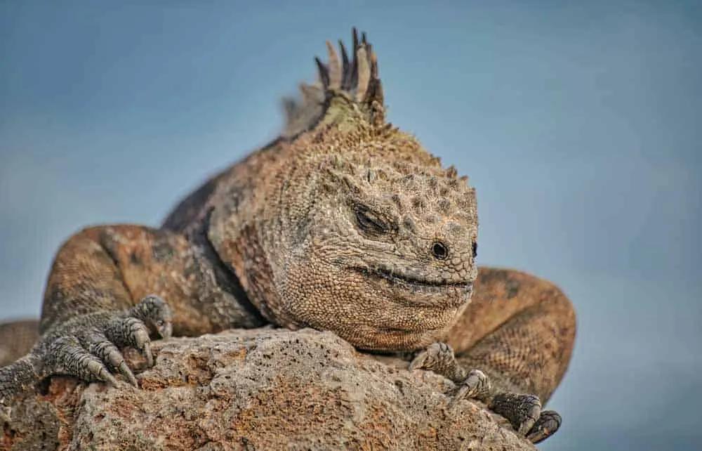 ruta por islas Galápagos