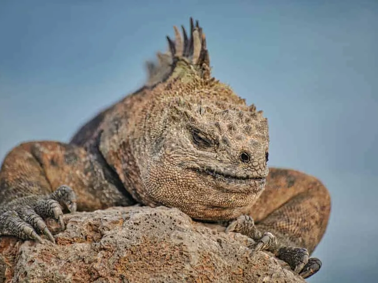 ruta por islas Galápagos