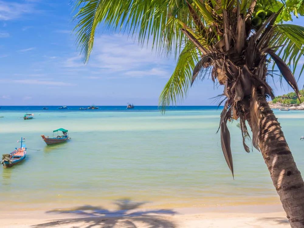 praia de sairee, long tail boat e palmeira