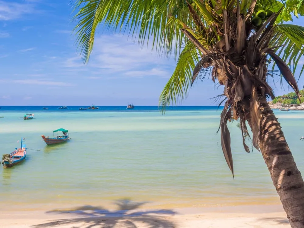 praia de sairee, long tail boat e palmeira