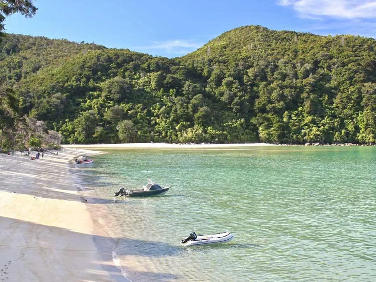 ¿Cuándo es verano en Nueva Zelanda?