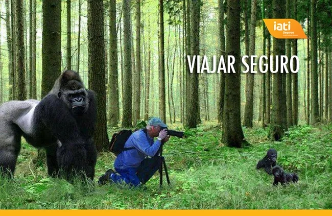 mejor seguro de viaje