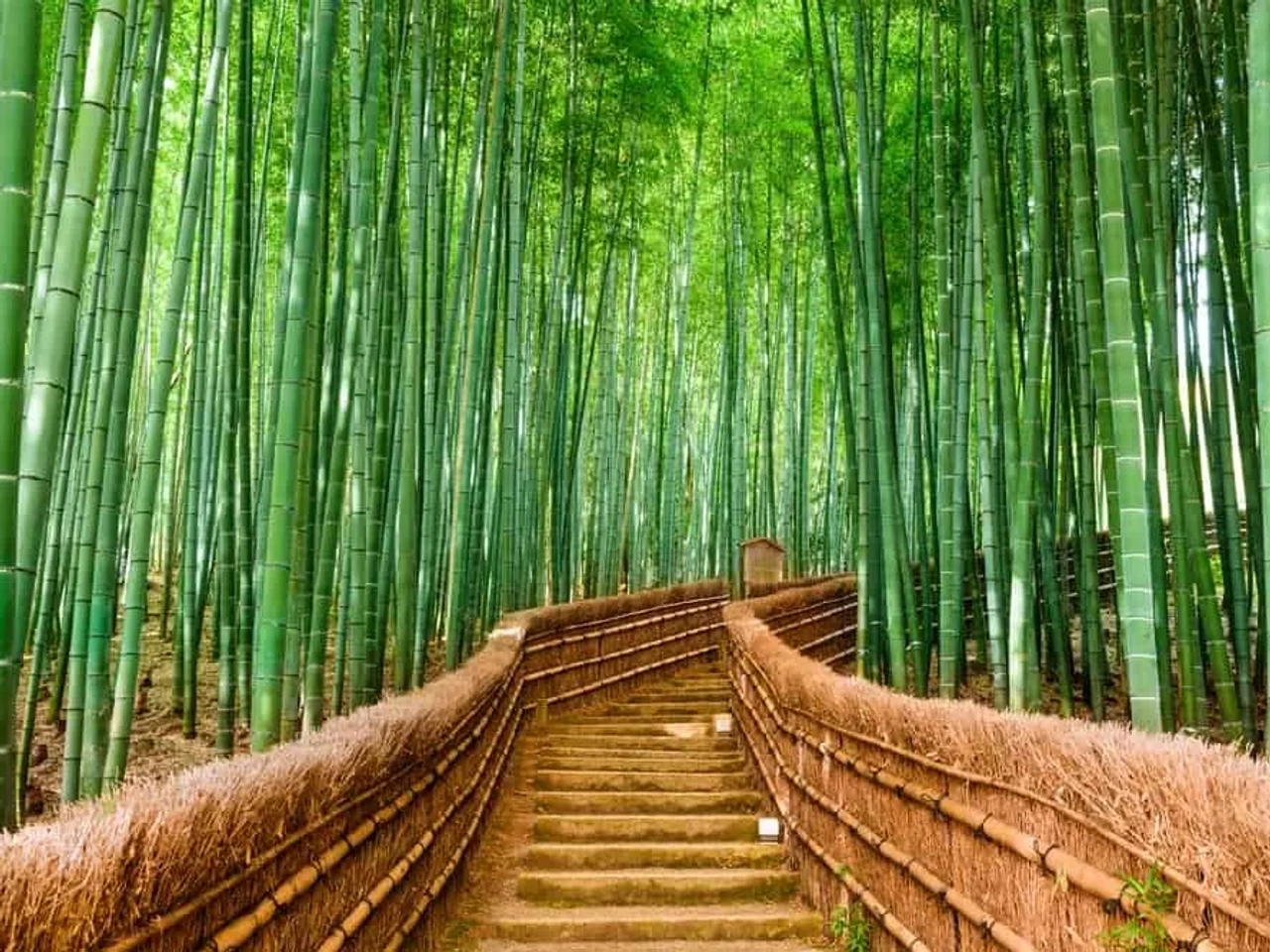 radiación en Japón