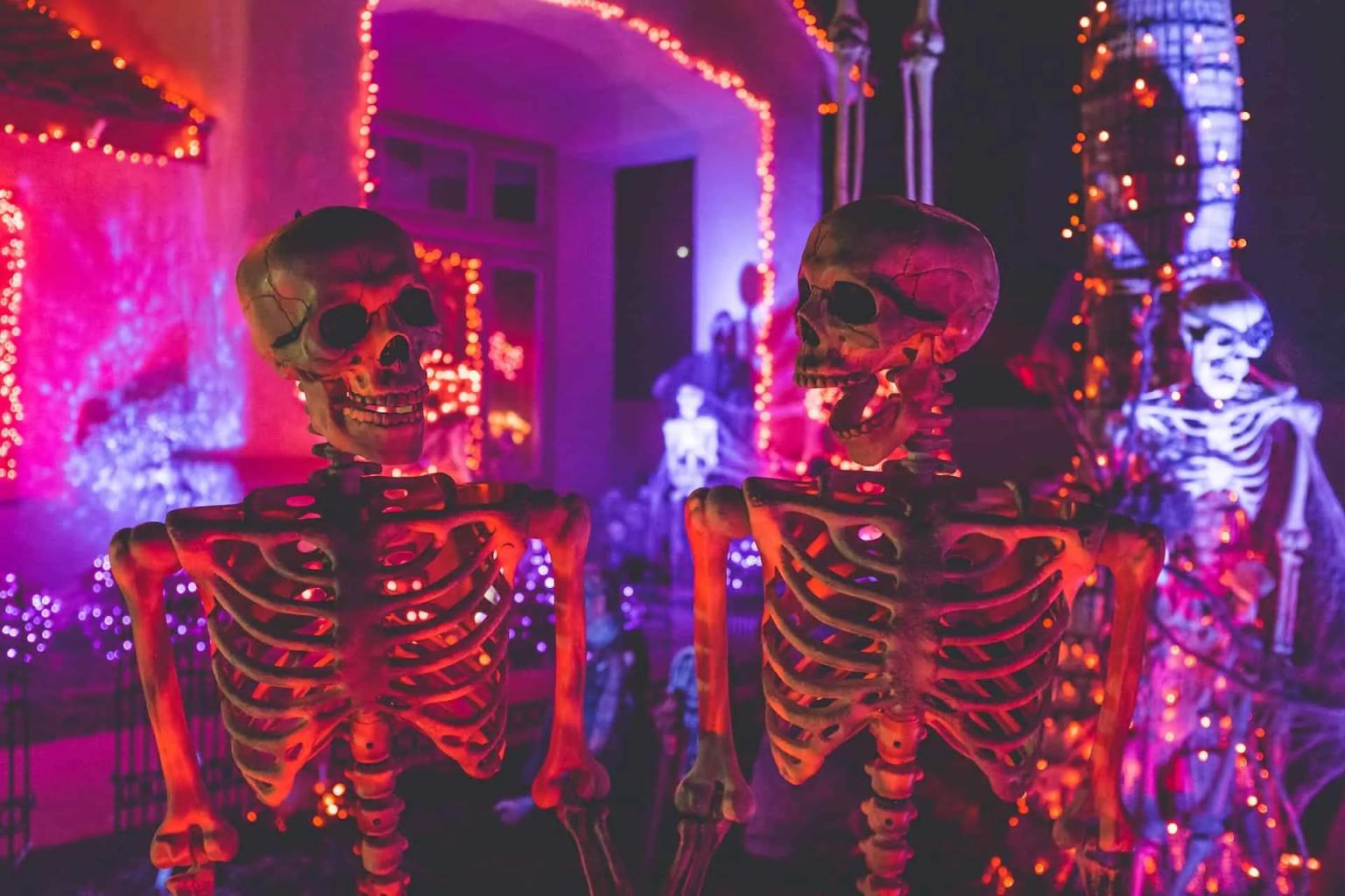dois esqueletos em dia de halloween