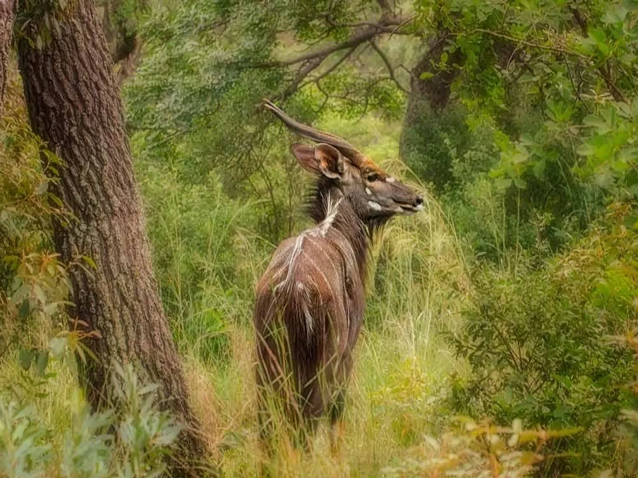 Parque Nacional de Maputo