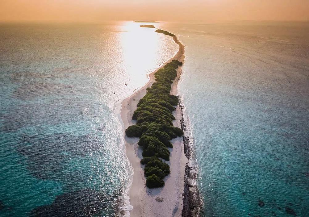 isla para ver el tiburón ballena
