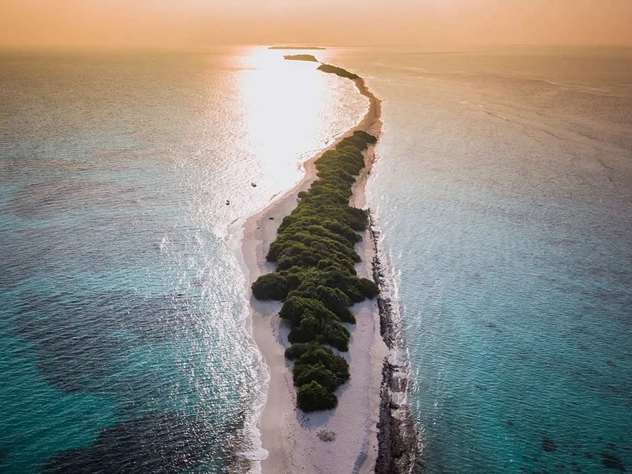 isla para ver el tiburón ballena