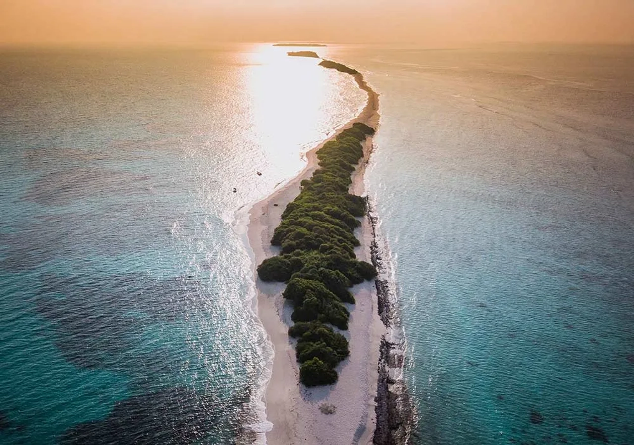isla para ver el tiburón ballena