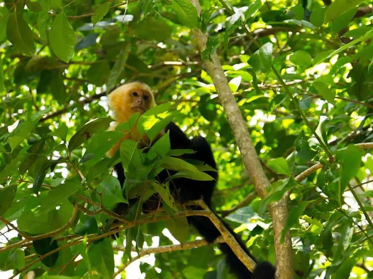 lugares para visitar viajando sola en Costa Rica