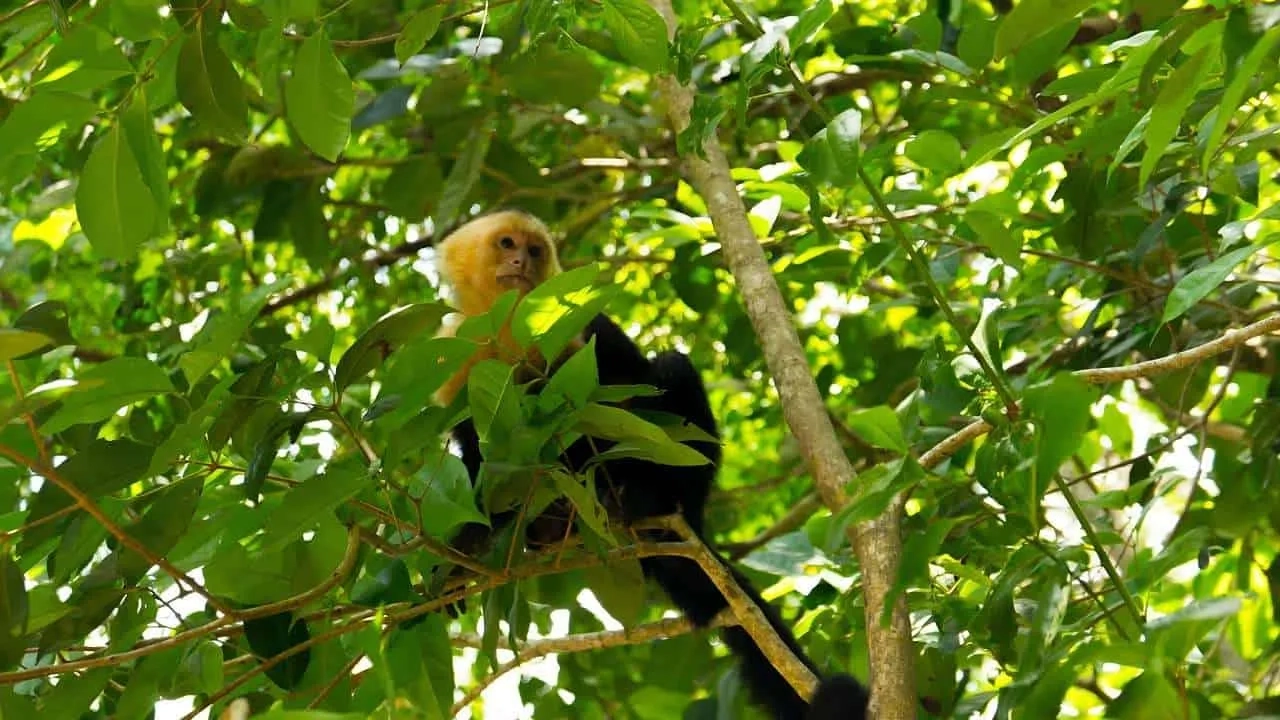 lugares para visitar viajando sola en Costa Rica