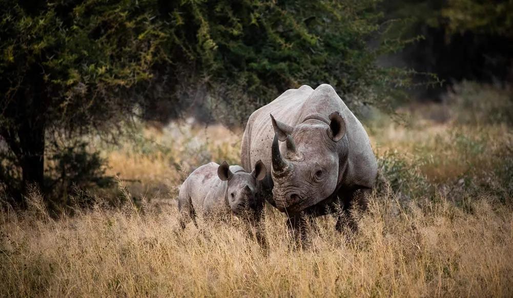Seguro de viaje a Sudáfrica