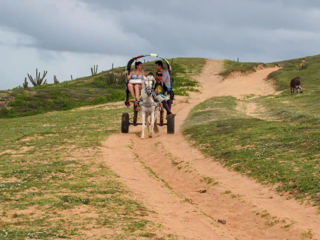 familia passeia numa charrete puxada por um cavalo em jericoacoara