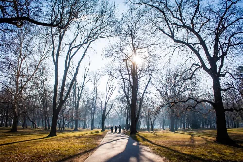 isla Margarita de Budapest