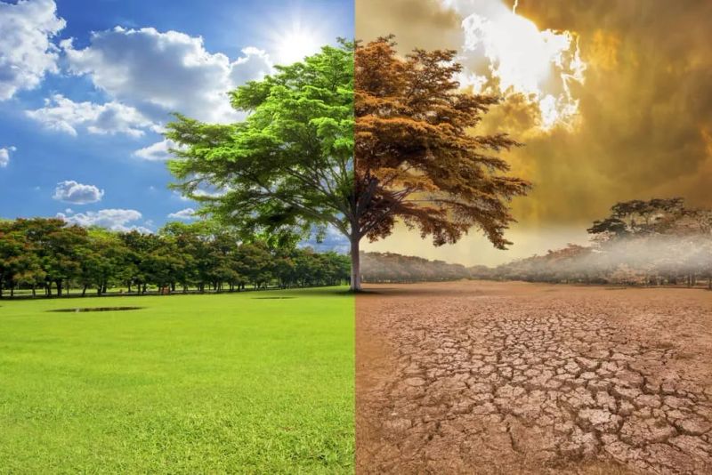 El cambio climático: causas y consecuencias