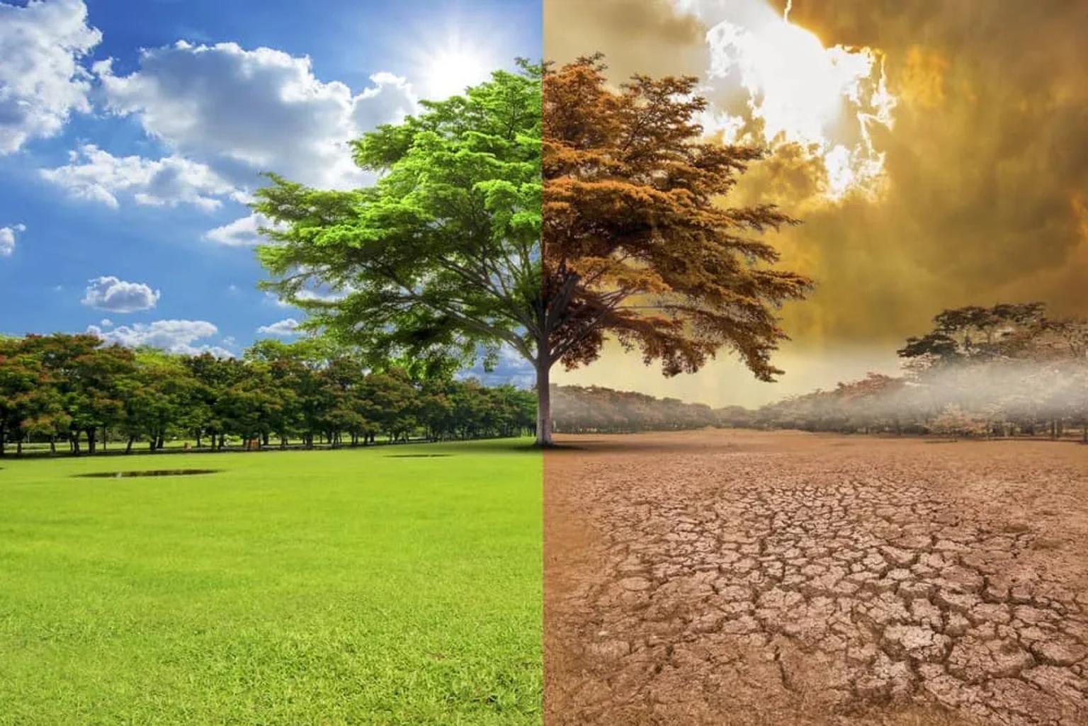 consecuencias del cambio climático