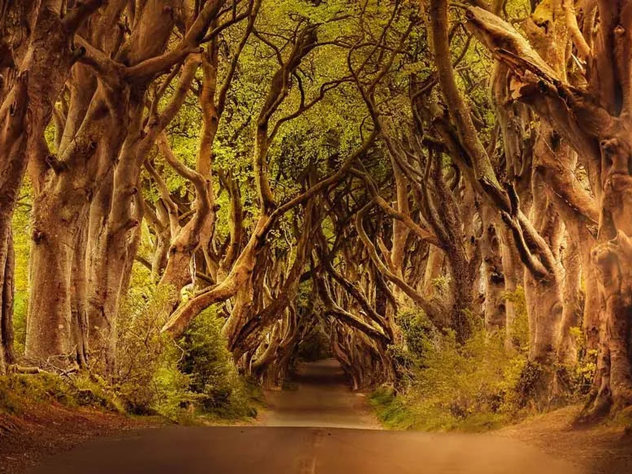 Localizaciones de Juego de Tronos en Irlanda