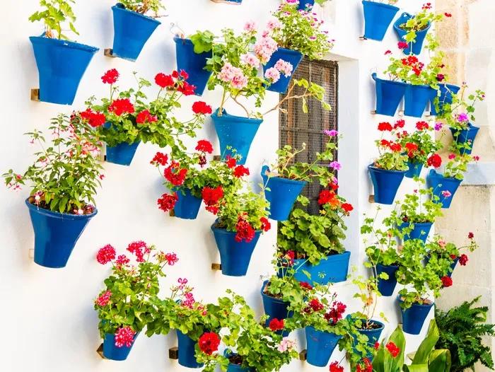 escapada_a_cordoba_patios