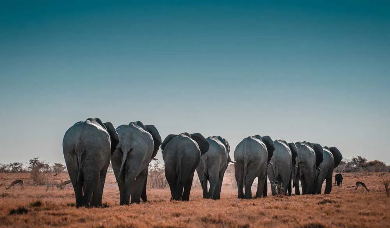 qué ver en Namibia
