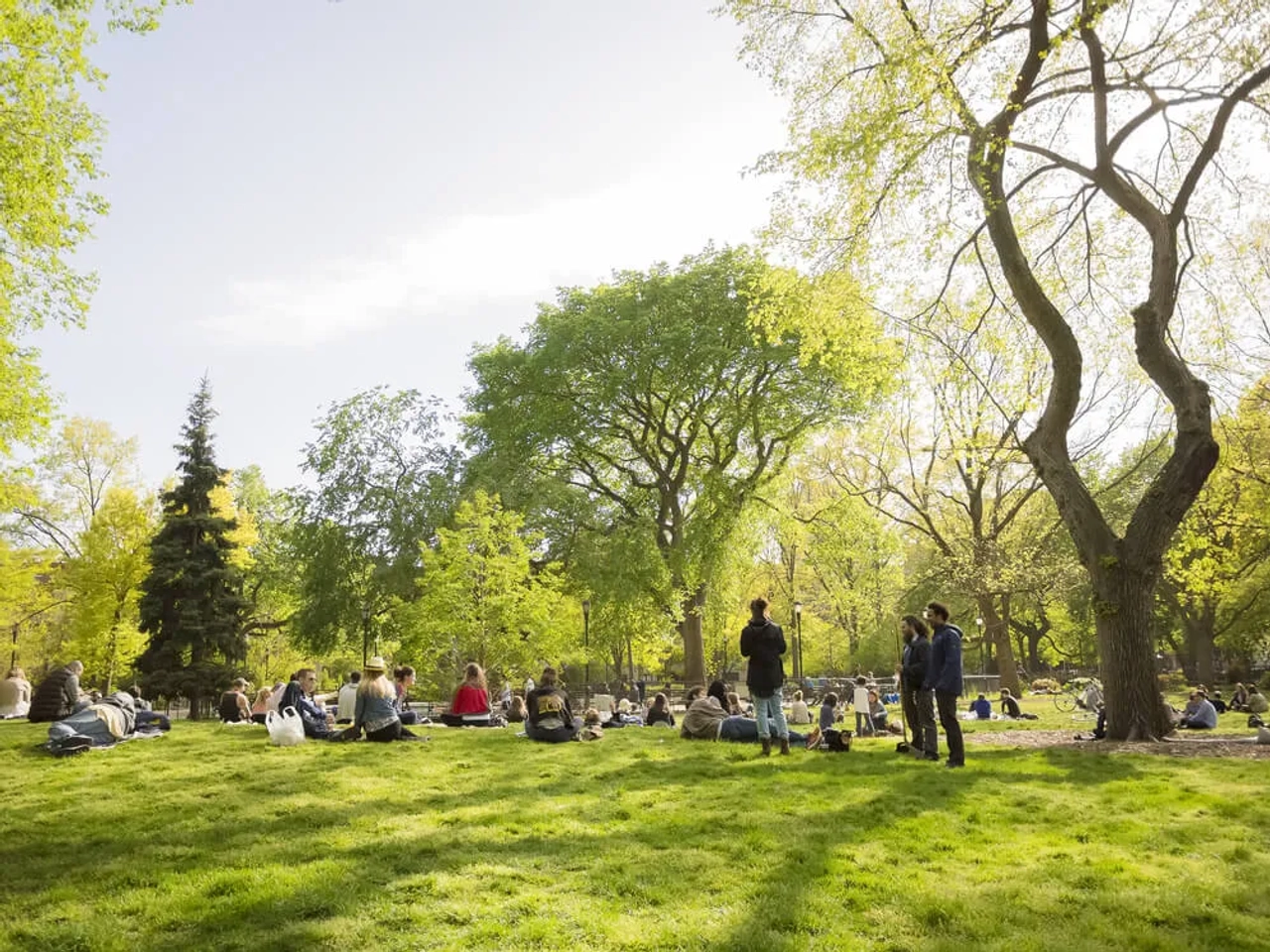 pessoas deitadas na relva no Tompkins Square Park