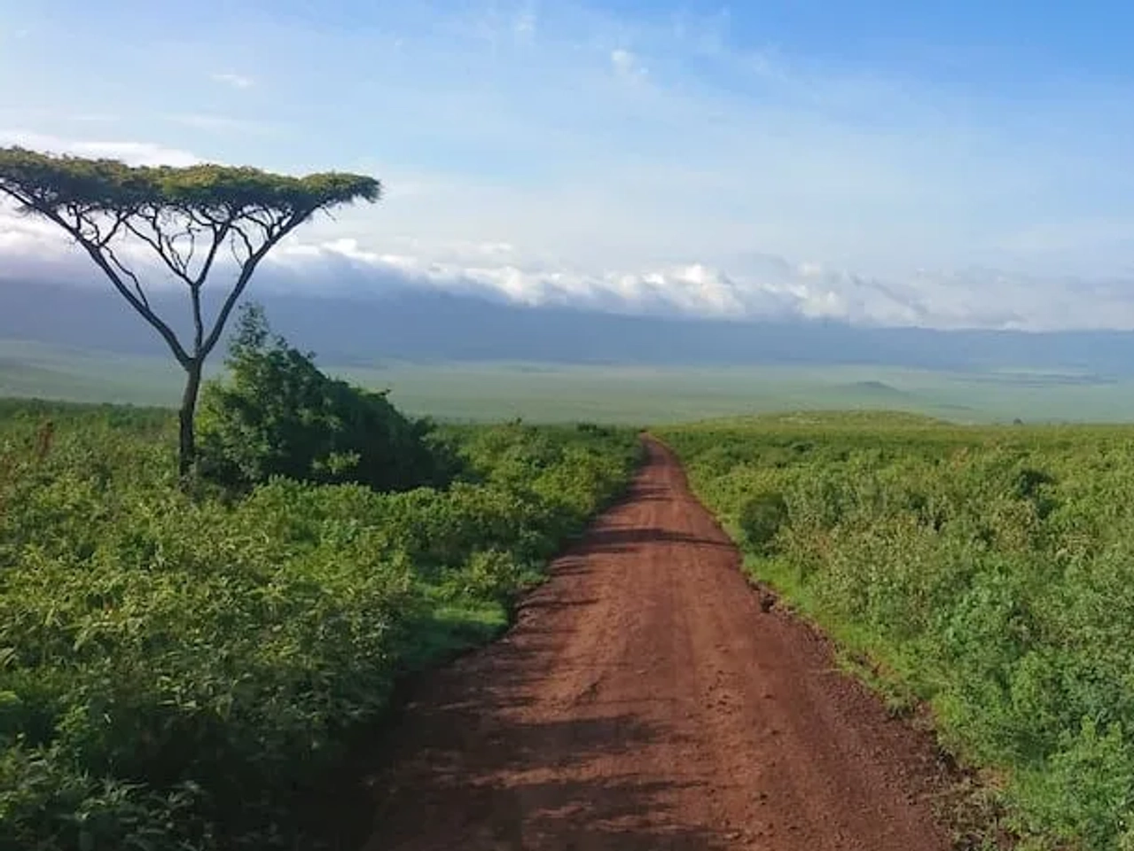 safari em Ngorongoro Crater, Tanzania