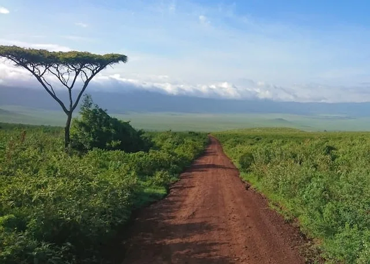 safari em Ngorongoro Crater, Tanzania