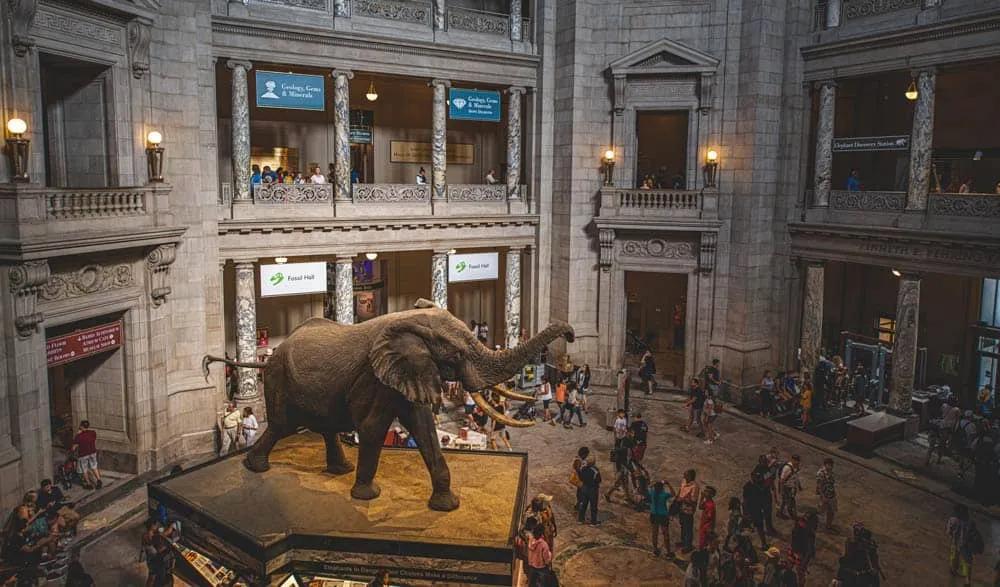 póliza de viaje a Londres