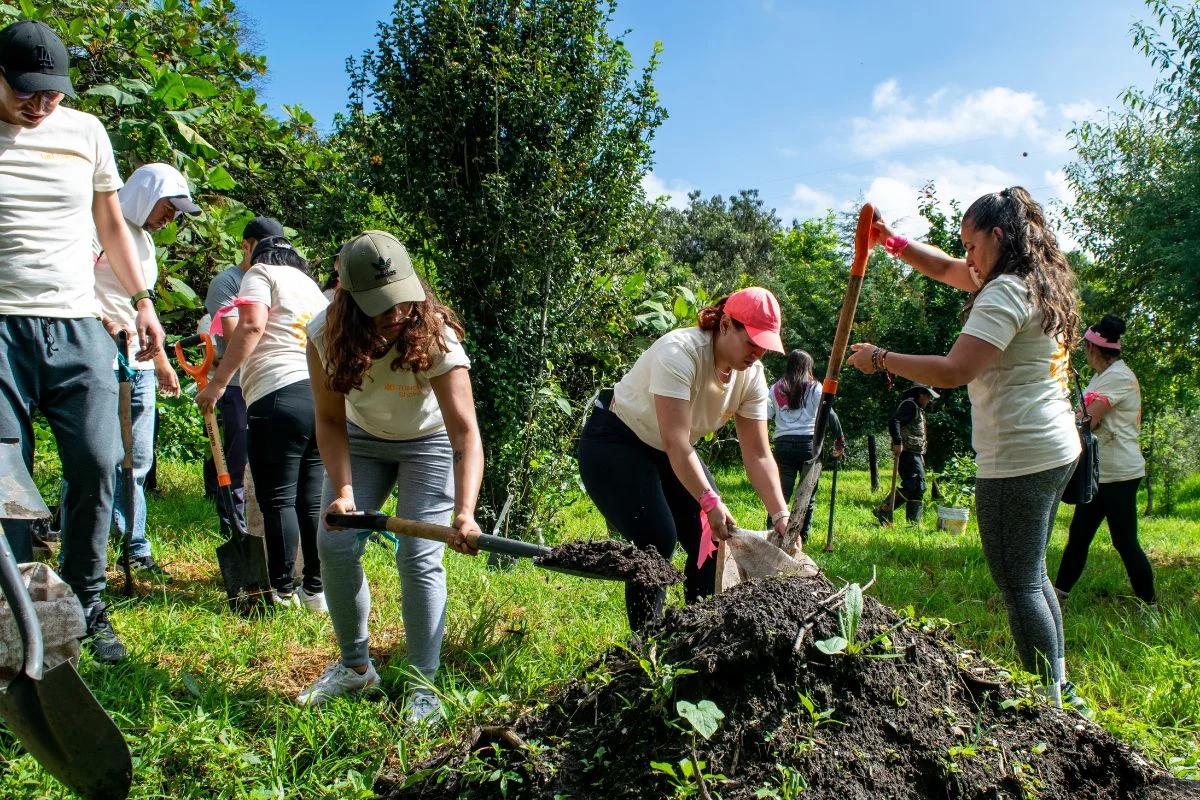 IATI Travel Shakers Reforestación en CDMX