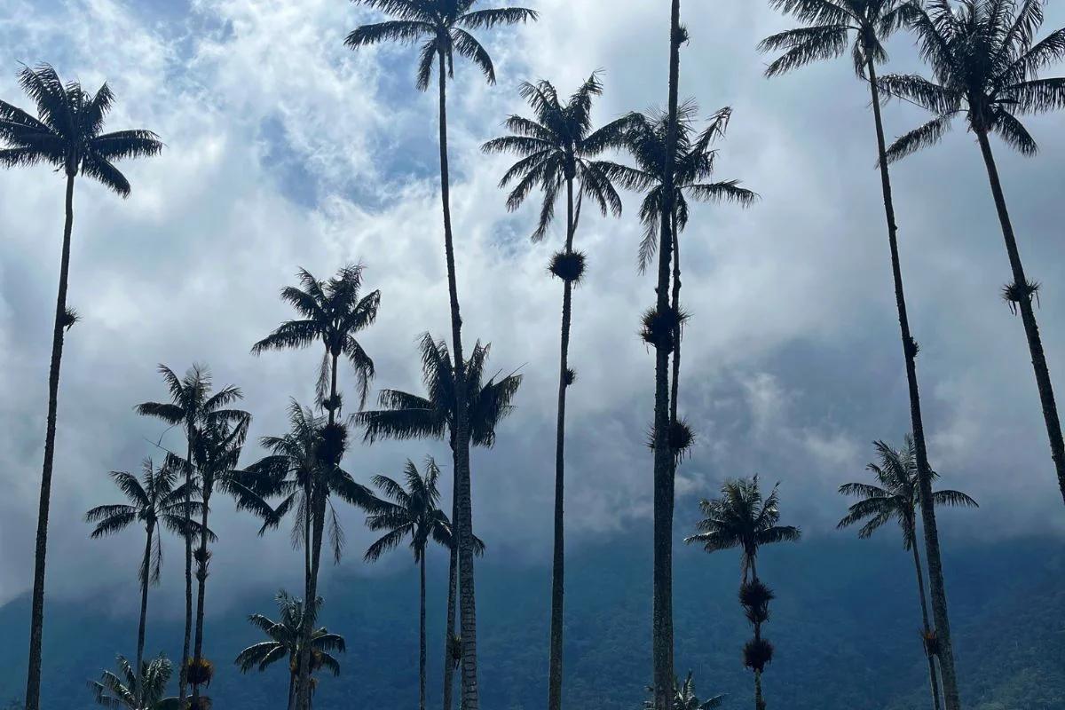 Turismo regenerativo vs turismo sostenible