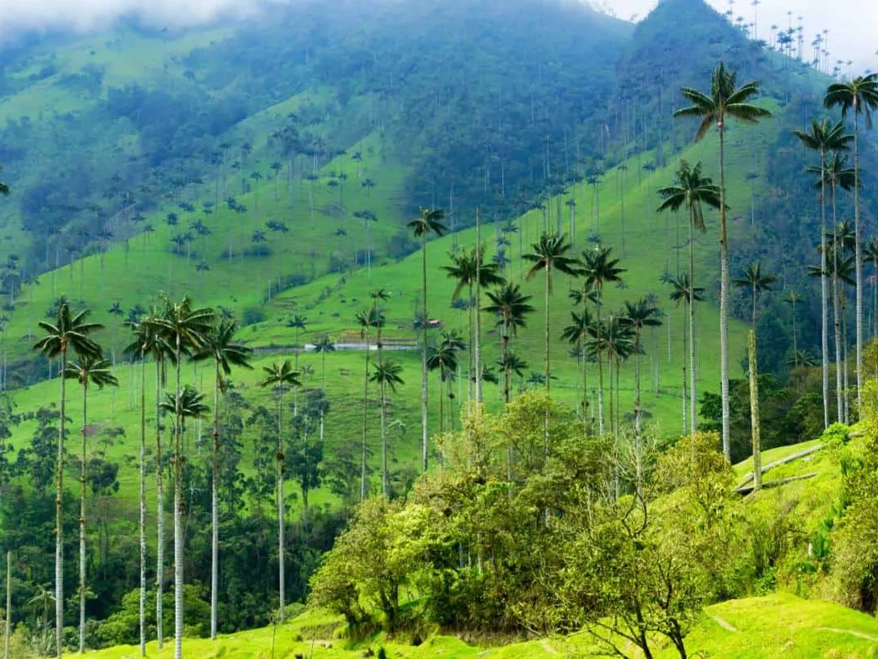 visitar el Eje Cafetero