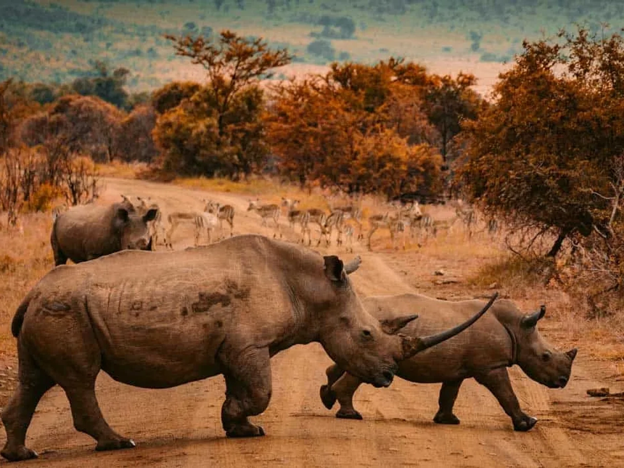 información práctica para un viaje por Sudáfrica