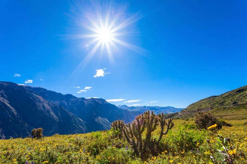 Guía para visitar el Cañón del Colca por libre
