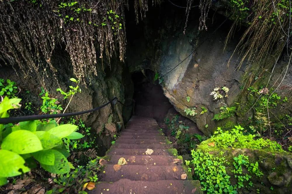 que ver en Islas Galápagos: isla Isabela