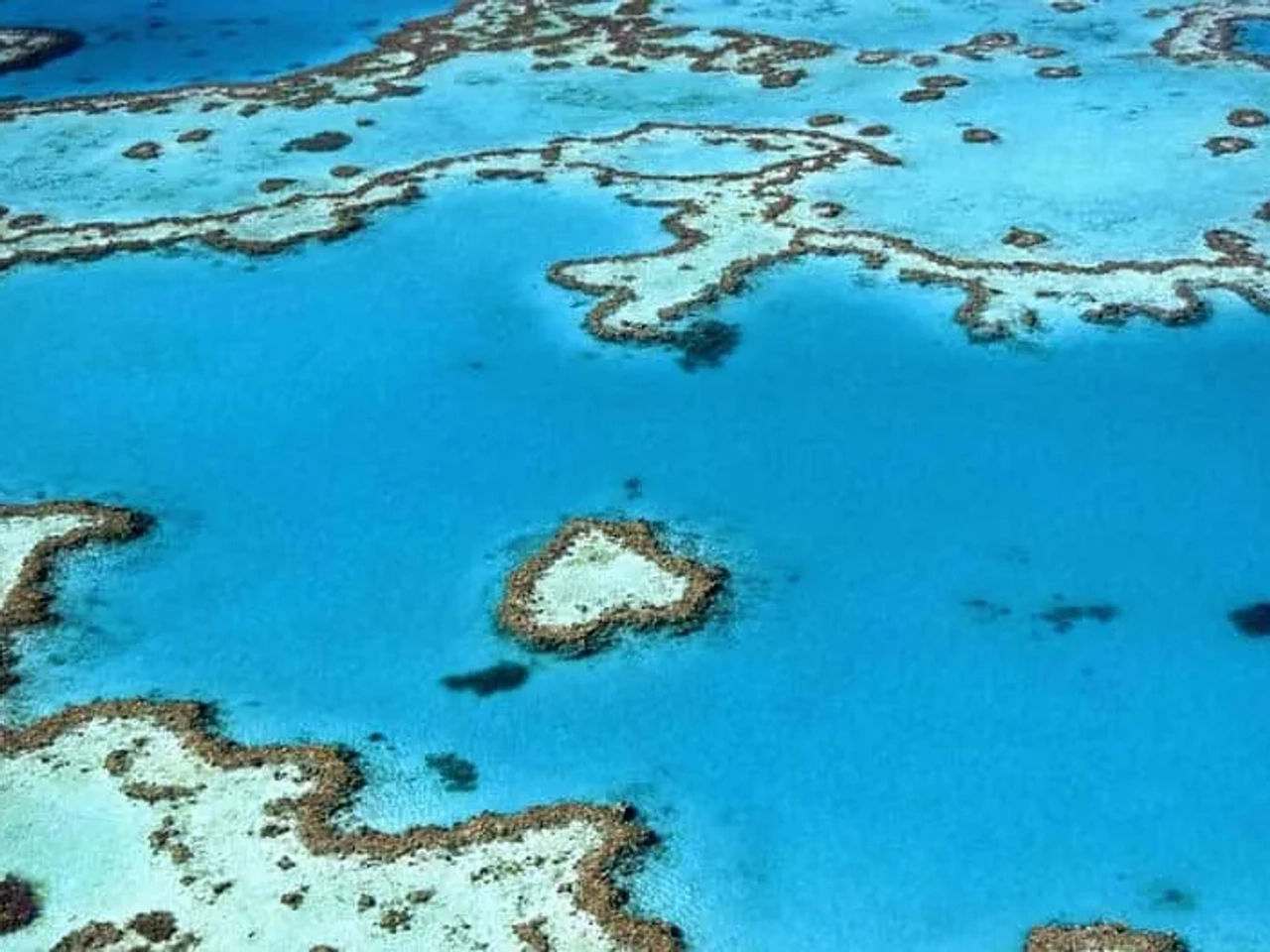 Gran Barrera de Coral